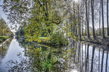 Fototapeta premium Rees reflecting in the still waters of two joining canals in autumn