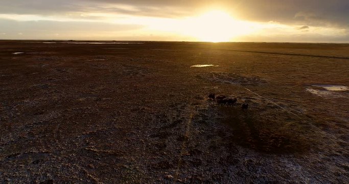 champs avec coucher de soleil