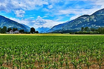 Austrian Alps-view from the St.Gertraud