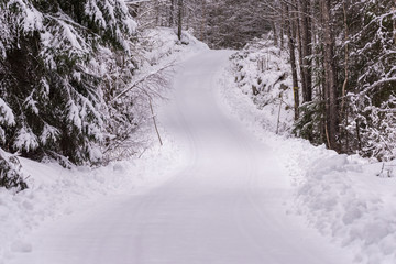snowy road in a forest in varmland sweden