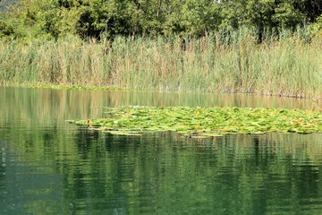 Obraz premium view while boating the Bacina lakes in Croatia