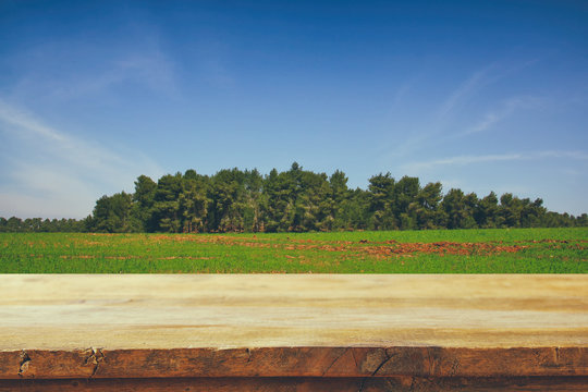 Empty rustic table in front of countryside background. product display and picnic concept.