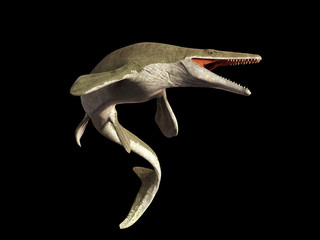 Mosasaurus, 17m aquatic lizard, between 70 and 66 million years ago (3d illustration isolated on black background)