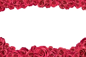 Crédence de cuisine en verre imprimé Roses Cadre irrégulier fait de roses roses. Isolé sur blanc.