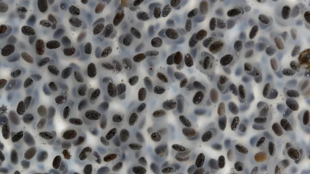 Close up of a glass with water and chia seeds 
