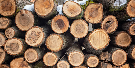 Dry chopped firewood logs in a pile
