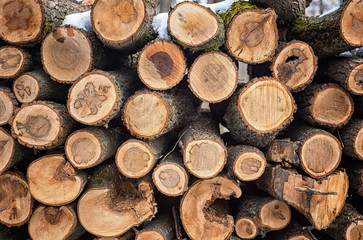 Fototapeta premium Dry chopped firewood logs in a pile 