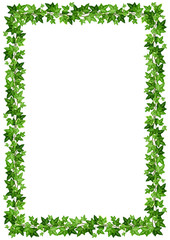 Vector background frame with green ivy leaves on a white background. - obrazy, fototapety, plakaty