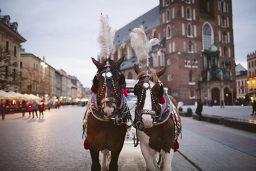 Naklejka na ściany i meble Horse carriages at main square in Krakow, Poland.