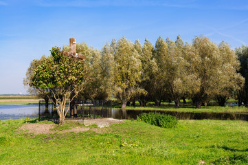 krajobraz z wierzbami © TOP67