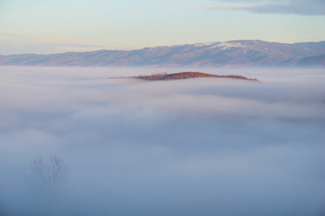 A small hilltop rising up from a sea of fog