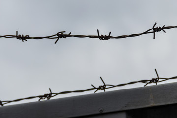 Close-up of barbed wire against cloudy sky