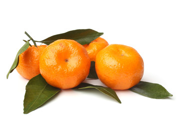 Ripe tangerines with green leaves