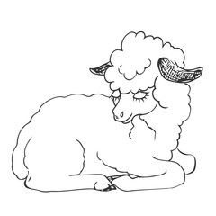 Lying sheep. Figure a liner. Hand drawing. Vector
