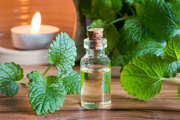A bottle of melissa essential oil with fresh melissa