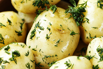 young potatoes close-up