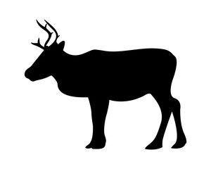 reindeer pictogram vector illustration