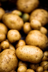 Organic potatoes closeup