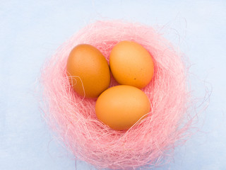 Yellow easter eggs in pink nest on pastel blue background. Close up.