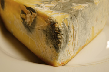 Moldy cheese on the plate.