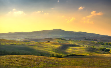 Fototapeta premium Volterra panorama, rolling hills, trees and green fields at sunset. Tuscany, Italy