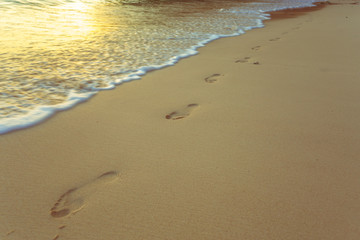 Sea. Tropical Paradise.