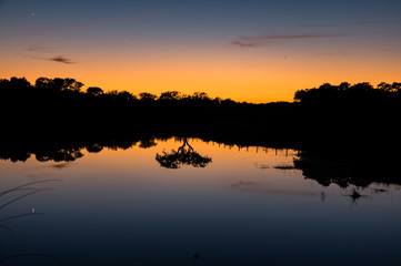 Reflektion von einem Baum in See bei Sonnenuntergang
