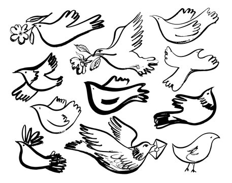 Birds set. Vector hand drawn graphic illustration.
