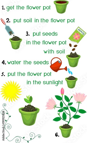 "Instructions on how to plant flower in sequence of easy steps" Stock ...