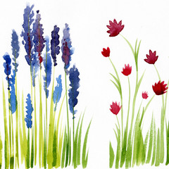 Floral watercolor illustration. Vintage hand drawn flowers, leaves, and grass. Blue and red  wildflowers for Mother's Day, wedding, birthday, Easter, Valentine's Day.