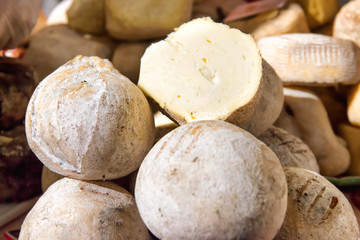 Various types of cheese