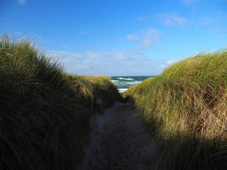 Darßer Weststrand, Nationalpark Vorpommersche Boddenlandschaft, Mecklenburg Vorpommern, Deutschland