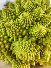 Perfect spiral structures of broccoli romanesco