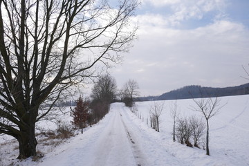 Obraz premium winter landscape