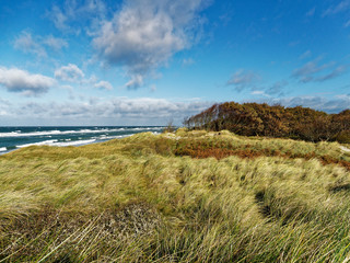 Darßer Weststrand, Nationalpark Vorpommersche Boddenlandschaft, Mecklenburg Vorpommern, Deutschland