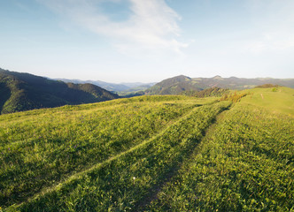 Road on the mountain hill. Bautiful natura landscape in the summer time