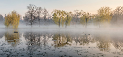 Beautiful foggy morning in Stromovka park, Prague