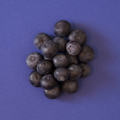 Blueberries Dramtically Lit on a Blue Background