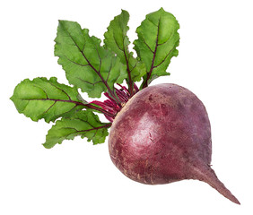 Beetroot with leaves isolated on white