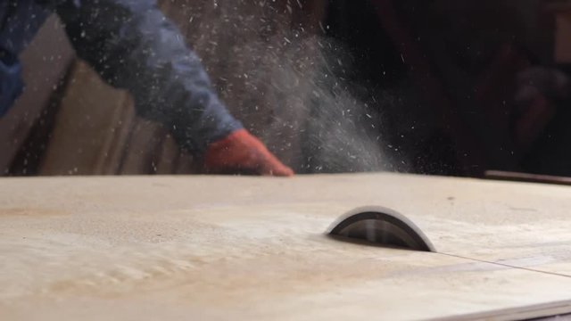 Circular table saw cutting wood