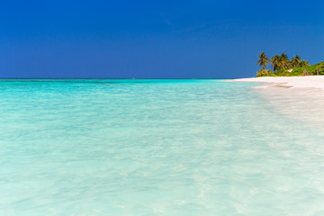 Fototapeta premium Beautiful tropical beach at Maldives