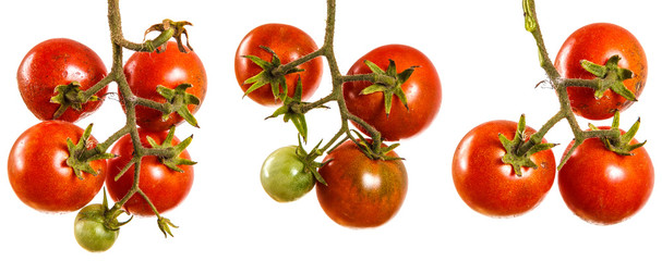 ripe red tomatoes on a branch. Isolated on white background. set, collection