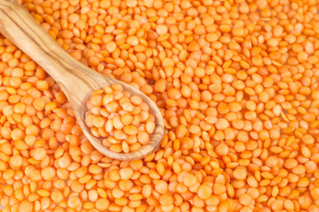 Organic raw red lentils - Lens culinaris