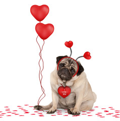 lovely cute valentines day pug puppy dog sitting down on confetti, wearing hearts diadem and...