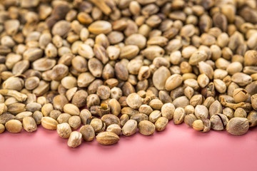 hemp seed background