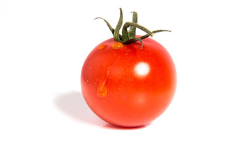 Strauchtomaten