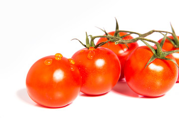 Strauchtomaten