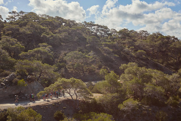Akamas. Mediterranean Sea. A group of tourists with large backpacks are on the sandy road to the sea