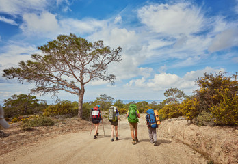 group of tourists with large backpacks are on the sandy road to the sea