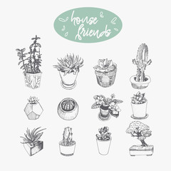 Set of hand drawn plants in pots isolated on white background. Houseplants vector collection for your design.